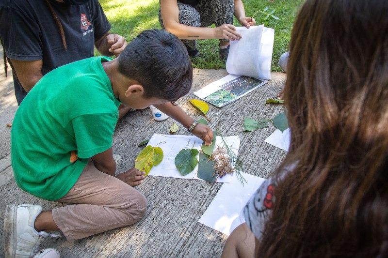 Programa espacios abiertos 1