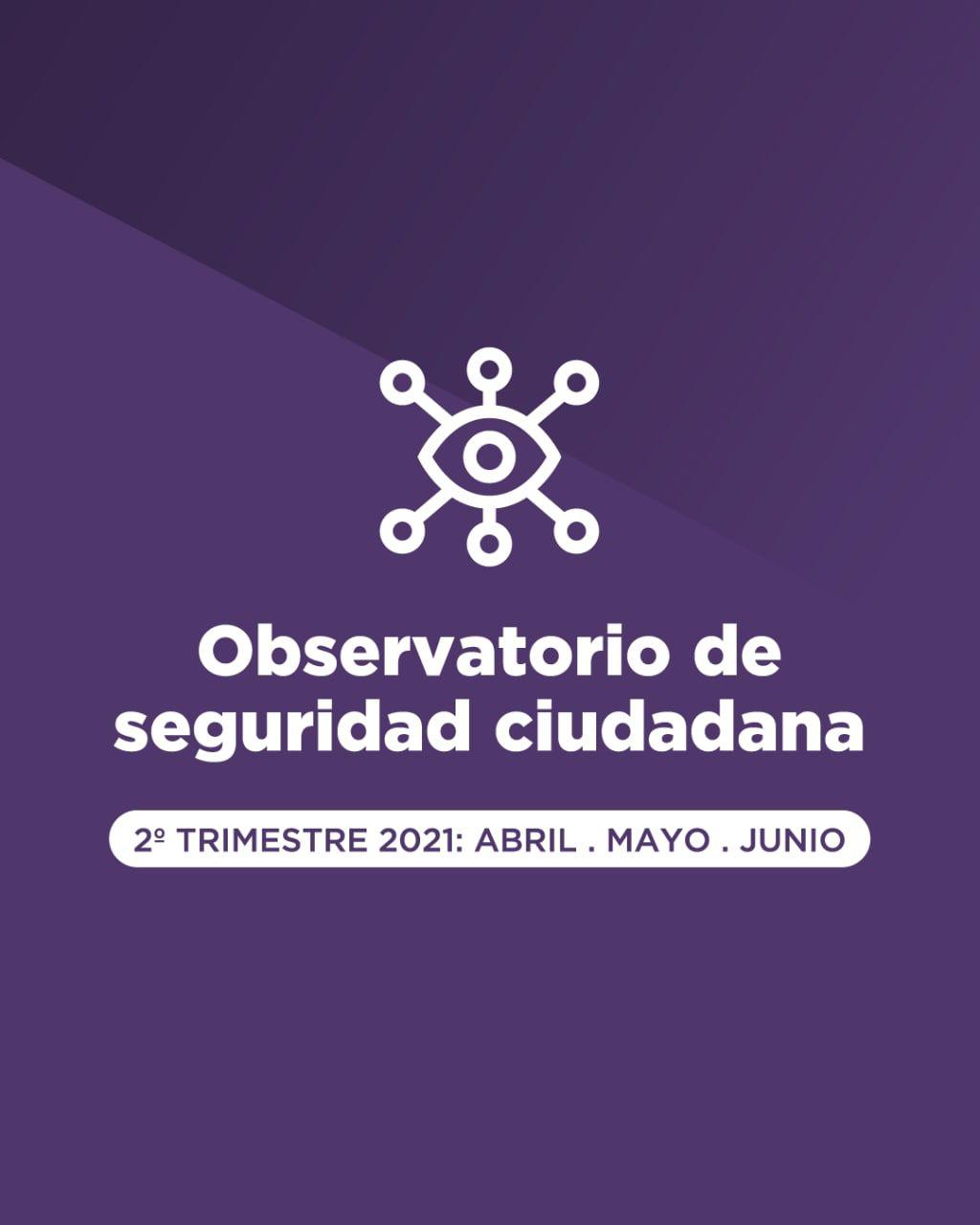Observatorio de seguridad ciudadana 1