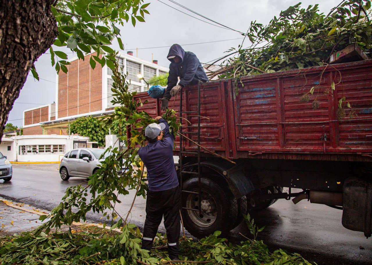 SERVICIOS PUBLICOS 5