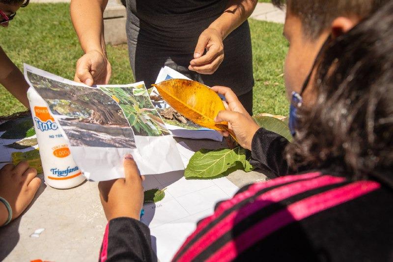 Programa espacios abiertos 2